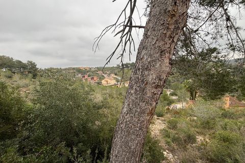 Terra a Olivella, Barcelona, Olivella - € 44.000 | Ref: OI02059/5763 - foto 28
