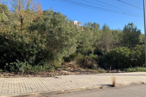 Terra a Olivella, Barcelona, Olivella - € 57.000 | Ref: OI02060/5763 - foto 9