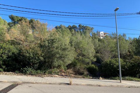 Terra a Olivella, Barcelona, Olivella - € 57.000 | Ref: OI02060/5763 - foto 11