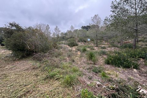 Terra a Olivella, Barcelona, Olivella - € 57.000 | Ref: OI02060/5763 - foto 16