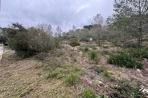 Terra a Olivella, Barcelona, Olivella - € 57.000 | Ref: OI02060/5763 - foto 17