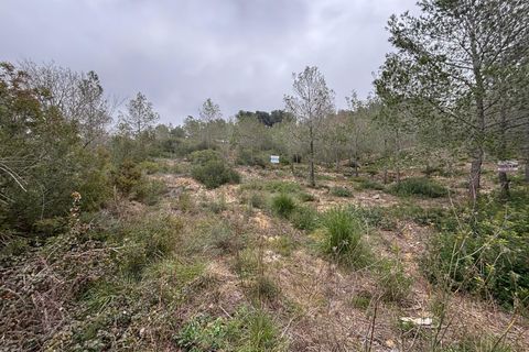 Terra a Olivella, Barcelona, Olivella - € 57.000 | Ref: OI02060/5763 - foto 18