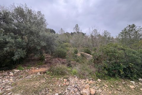 Terra a Olivella, Barcelona, Olivella - € 57.000 | Ref: OI02060/5763 - foto 19