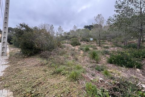 Terra a Olivella, Barcelona, Olivella - € 57.000 | Ref: OI02060/5763 - foto 20