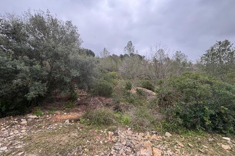 Terra a Olivella, Barcelona, Olivella - € 57.000 | Ref: OI02060/5763 - foto 21