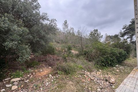 Terra a Olivella, Barcelona, Olivella - € 57.000 | Ref: OI02060/5763 - foto 22