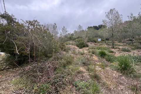 Terra a Olivella, Barcelona, Olivella - € 57.000 | Ref: OI02060/5763 - foto 23