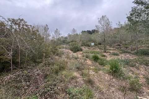 Terra a Olivella, Barcelona, Olivella - € 57.000 | Ref: OI02060/5763 - foto 24