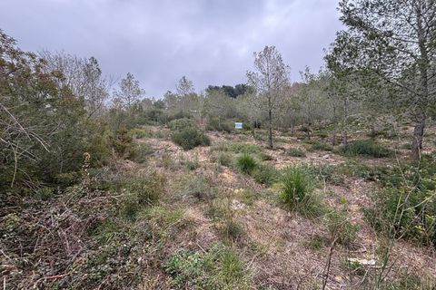 Terra a Olivella, Barcelona, Olivella - € 57.000 | Ref: OI02060/5763 - foto 26