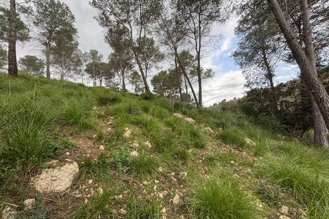 Helårsgrund i Canyelles, Barcelona, Canyelles - € 55.000 | Ref: OI02116/5763 - foto 3