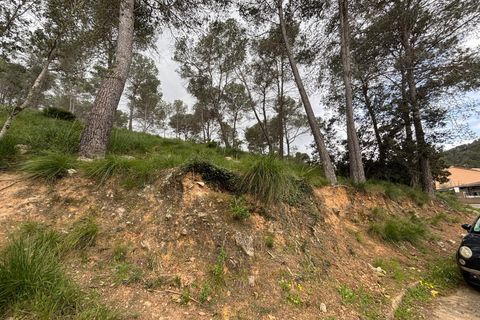 Helårsgrund i Canyelles, Barcelona, Canyelles - € 55.000 | Ref: OI02116/5763 - foto 5