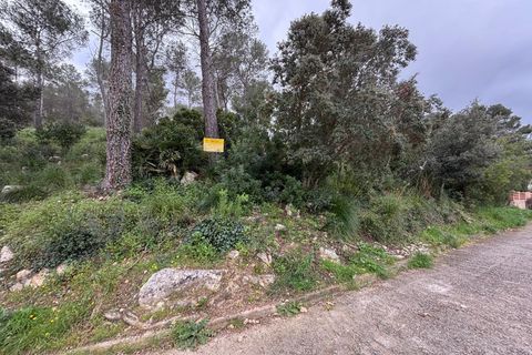 Helårsgrund i Canyelles, Barcelona, Canyelles - € 55.000 | Ref: OI02116/5763 - foto 7