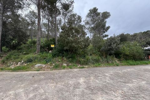 Helårsgrund i Canyelles, Barcelona, Canyelles - € 55.000 | Ref: OI02116/5763 - foto 9
