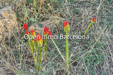 Villa a Torrelles De Foix, Barcelona, Torrelles De Foix - € 279.000 | Ref: OI02249/5763 - foto 26