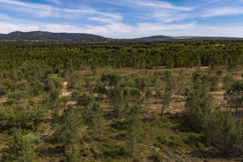 Helårsgrund i Quinta do Conde, Setubal, Quinta do Conde - € 850.000 | Ref: SÒL_60 - foto 2