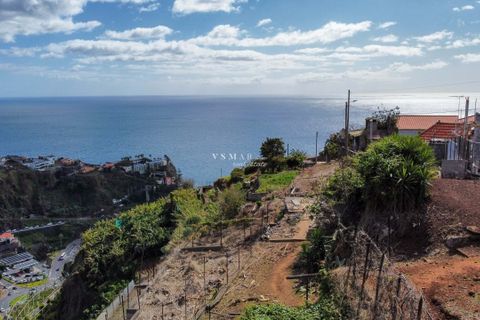 Helårsgrund i Ponta do Sol, Madeira, Ponta do Sol - € 395.000 | Ref: VSM0003 - foto 5