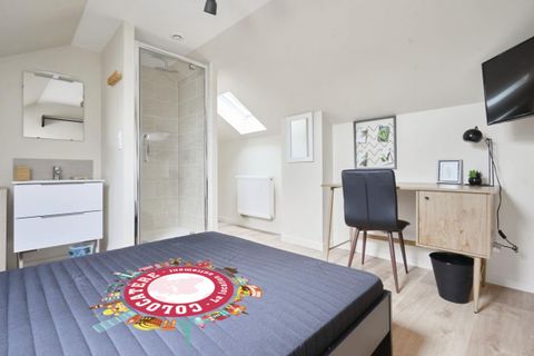 Apartament a Reims, Marne, Reims - € 520/mes | Ref: tGRXekQ53SOvDbr - foto 9