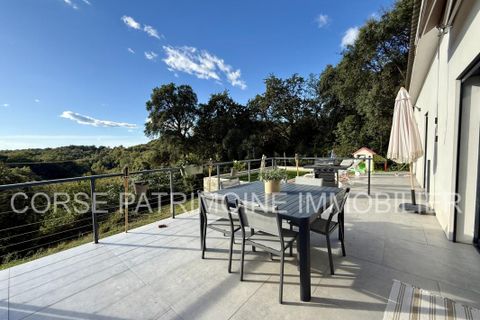 Villa a Cervione, Haute-Corse, Cervione - € 489.000 | Ref: 2912 - foto 7