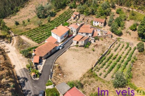 Villa a Penacova, Coimbra, Penacova - € 56.500 | Ref: SV 2426 - foto 2