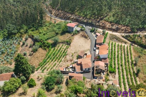 Villa a Penacova, Coimbra, Penacova - € 56.500 | Ref: SV 2426 - foto 3