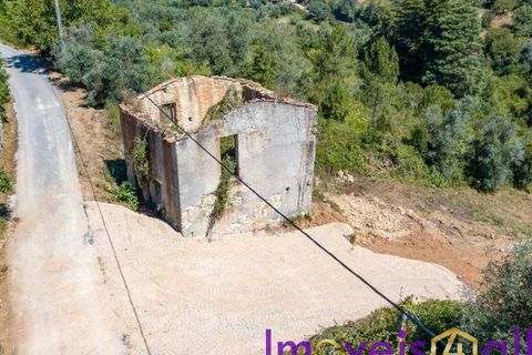 Landejendom i Condeixa-a-Nova, Coimbra, Condeixa-a-Nova - € 42.500 | Ref: JV -2026 / RRC - foto 5