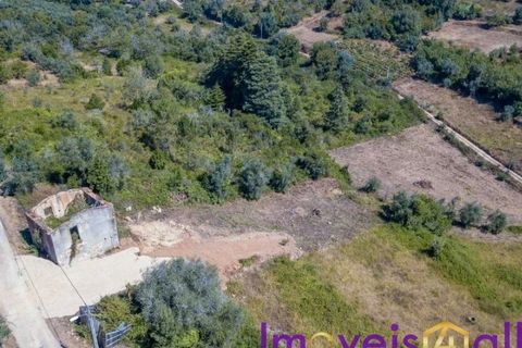 Landejendom i Condeixa-a-Nova, Coimbra, Condeixa-a-Nova - € 42.500 | Ref: JV -2026 / RRC - foto 7