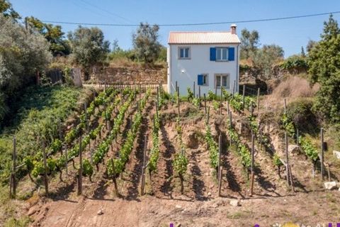 Landejendom i Condeixa-a-Nova, Coimbra, Condeixa-a-Nova - € 42.500 | Ref: JV -2026 / RRC - foto 12