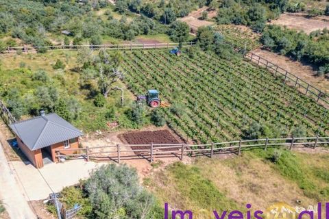 Landejendom i Condeixa-a-Nova, Coimbra, Condeixa-a-Nova - € 42.500 | Ref: JV -2026 / RRC - foto 14