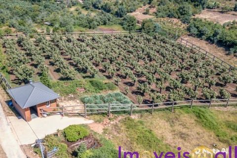 Landejendom i Condeixa-a-Nova, Coimbra, Condeixa-a-Nova - € 42.500 | Ref: JV -2026 / RRC - foto 15