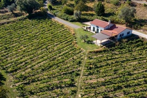 Landejendom i Condeixa-a-Nova, Coimbra, Condeixa-a-Nova - € 42.500 | Ref: JV -2026 / RRC - foto 16