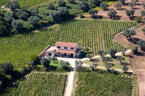 Landejendom i Condeixa-a-Nova, Coimbra, Condeixa-a-Nova - € 42.500 | Ref: JV -2026 / RRC - foto 17