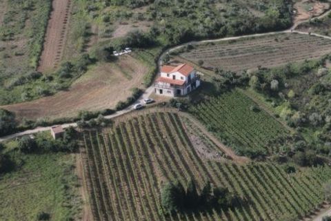 Landejendom i Condeixa-a-Nova, Coimbra, Condeixa-a-Nova - € 42.500 | Ref: JV -2026 / RRC - foto 18