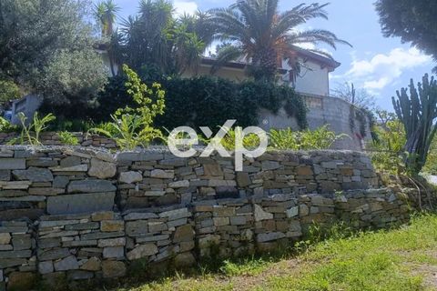Villa i Patti, Messina, Patti - € 470.000 | Ref: exp-012102 - foto 4