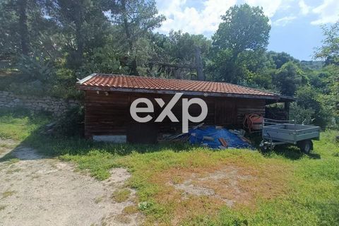 Villa i Patti, Messina, Patti - € 470.000 | Ref: exp-012102 - foto 5