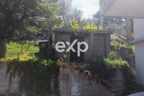 Villa i Patti, Messina, Patti - € 470.000 | Ref: exp-012102 - foto 6