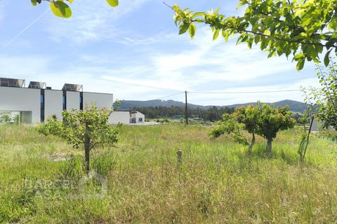 Villa a Barcelos, Braga, Barcelos - € 498.000 | Ref: 115/26 - foto 38