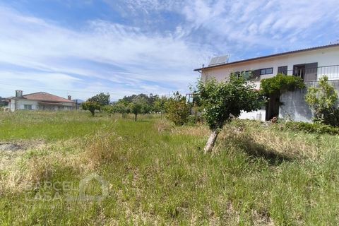 Villa a Barcelos, Braga, Barcelos - € 498.000 | Ref: 115/26 - foto 42