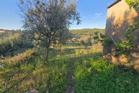Villa i Castelo Branco, Castelo Branco, Castelo Branco - € 70.000 | Ref: SF-SAFTI:008283 - foto 14