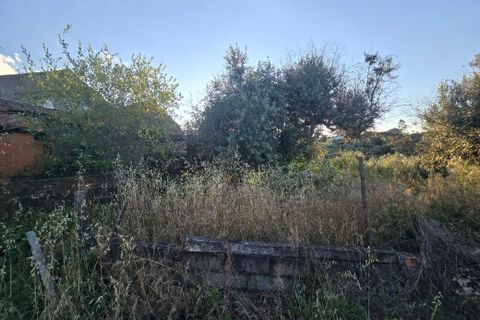 Villa i Castelo Branco, Castelo Branco, Castelo Branco - € 70.000 | Ref: SF-SAFTI:008283 - foto 18