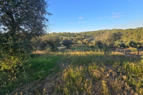 Villa i Castelo Branco, Castelo Branco, Castelo Branco - € 70.000 | Ref: SF-SAFTI:008283 - foto 19