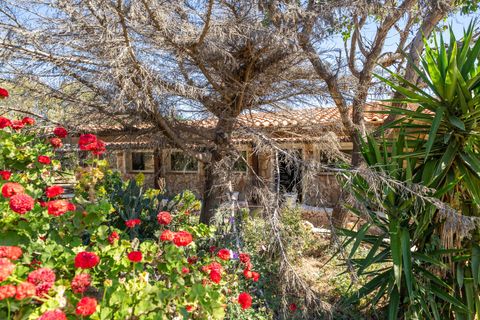 Villa a Lampedusa E Linosa, Agrigento, Lampedusa E Linosa - € 390.000 | Ref: 1264 - foto 20