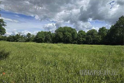 Helårsgrund i Citerna, Perugia, Citerna - € 35.000 | Ref: 622 - foto 2
