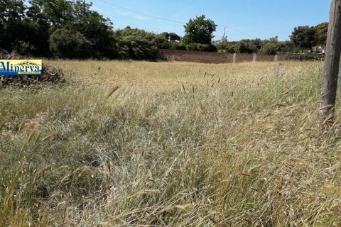 Tomt i Anzio, Rome, Anzio - € 180 000 | Ref: T. 51 - foto 2