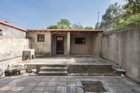 Landejendom i Ovar, Aveiro, Ovar - € 190.000 | Ref: 305-OVR - foto 25