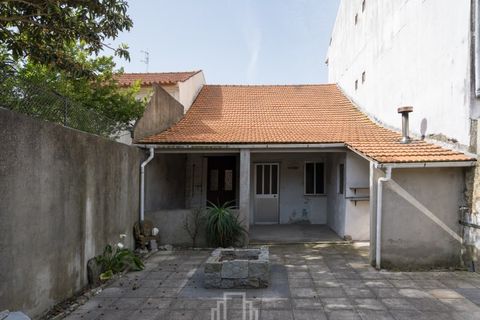 Landejendom i Ovar, Aveiro, Ovar - € 190.000 | Ref: 305-OVR - foto 31
