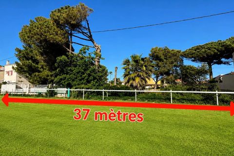 Terra a Hyeres, Var, Hyeres - € 1.680.000 | Ref: 87019892 - foto 3