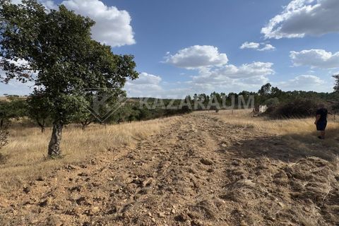 Ruinere i Ourique, Beja, Ourique - € 75.000 | Ref: RUÏ_285 - foto 2