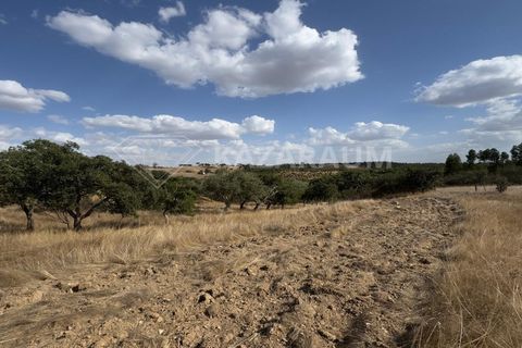 Ruinere i Ourique, Beja, Ourique - € 75.000 | Ref: RUÏ_285 - foto 5