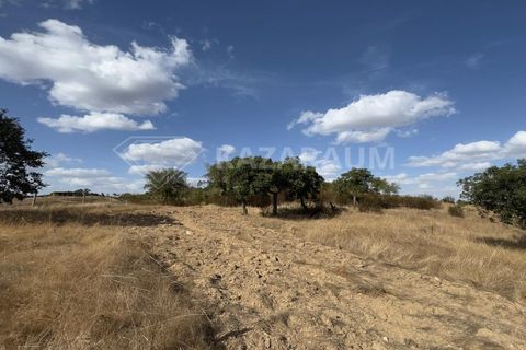 Ruinere i Ourique, Beja, Ourique - € 75.000 | Ref: RUÏ_285 - foto 12