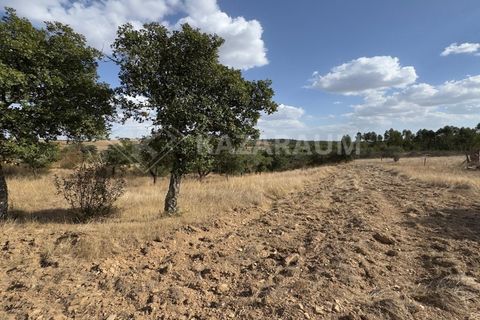 Ruinere i Ourique, Beja, Ourique - € 75.000 | Ref: RUÏ_285 - foto 13